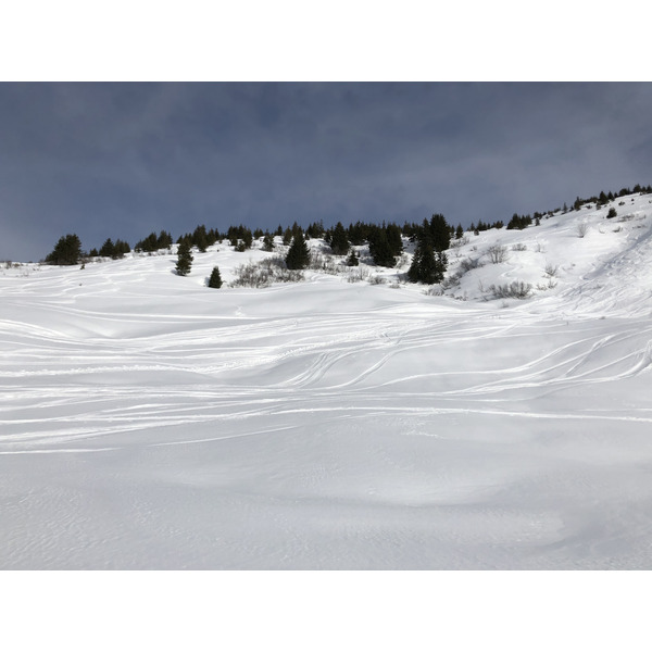 照片 法国(France) 阿尔利河畔普拉(Praz sur Arly) 2019-12 125