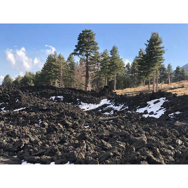 照片 意大利(Italy) 西西里岛(Sicily) 埃特纳火山(Etna) 2020-02 55