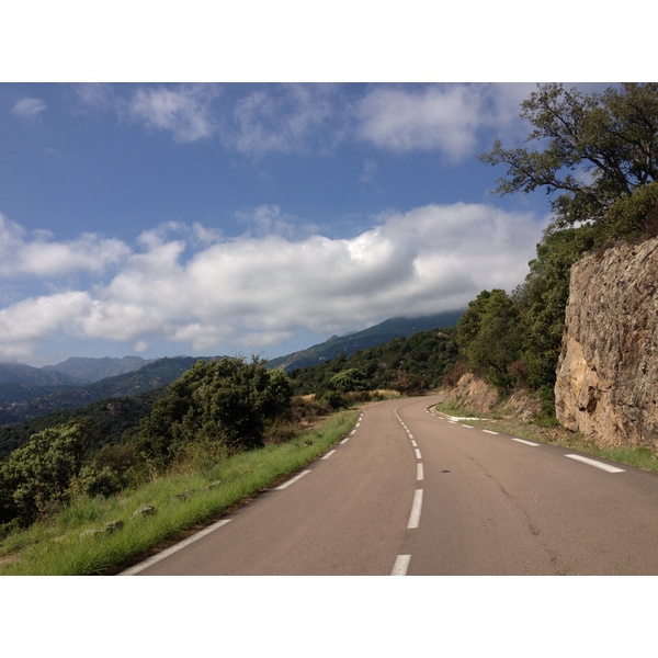 照片 法国(France) 科西嘉岛(Corsica) 奥斯佩达莱森林(L'ospedale Forest) 2012-09 21