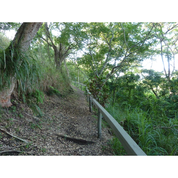 照片 斐济(Fiji) 辛加东卡沙丘国家公园(Sigatoka sand dunes national park) 2010-05 47