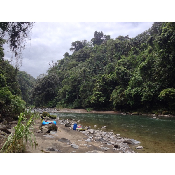 照片 哥斯达黎加(Costa Rica) 帕夸雷河(Pacuare River) 2015-03 218