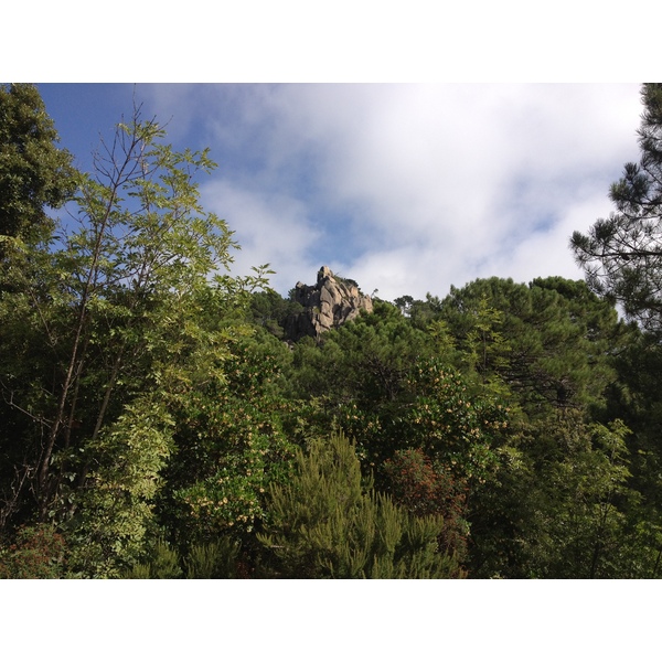 照片 法国(France) 科西嘉岛(Corsica) 奥斯佩达莱森林(L'ospedale Forest) 2012-09 13