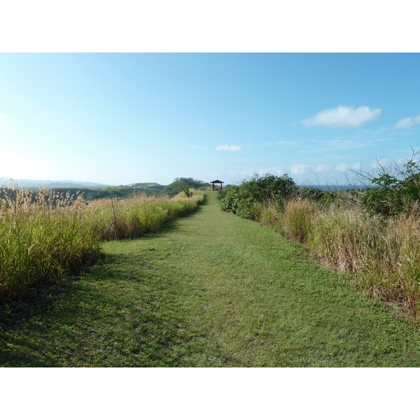 照片 斐济(Fiji) 辛加东卡沙丘国家公园(Sigatoka sand dunes national park) 2010-05 39