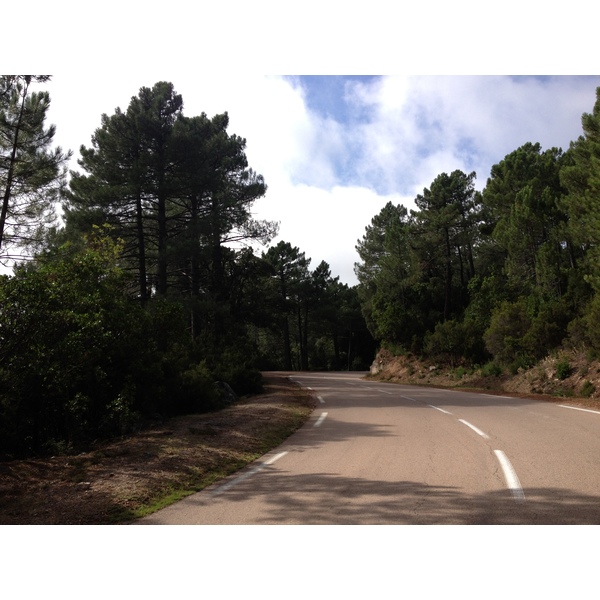 照片 法国(France) 科西嘉岛(Corsica) 奥斯佩达莱森林(L'ospedale Forest) 2012-09 65