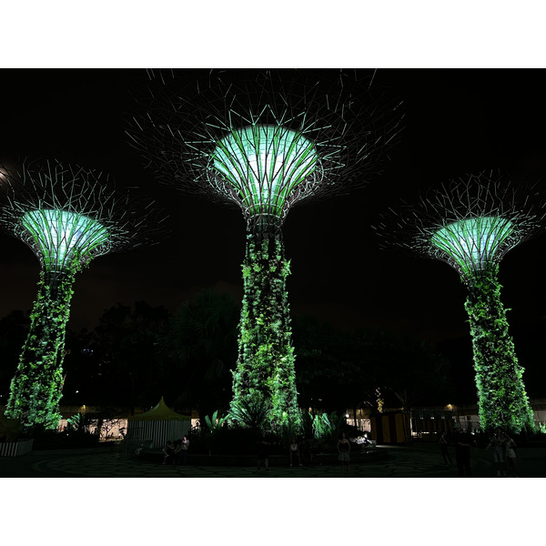 照片 新加坡(Singapore) 滨海湾花园(Garden by the bay) 2023-01 22