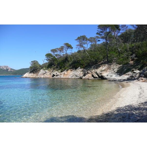 照片 法国(France) 波克罗勒岛(Porquerolles Island) 阿利卡斯特尔海滩(Alycastre beach) 2008-05 21