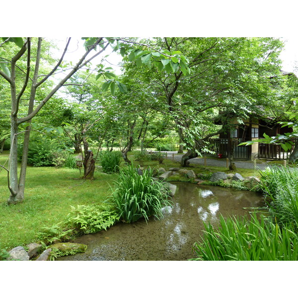 照片 日本(Japan) 京都(Kyoto) 涉成园(Shosei en Garden) 2010-06 19