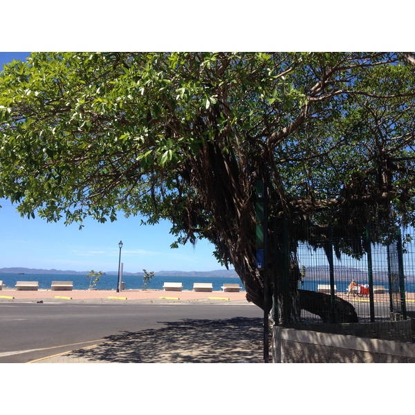 照片 哥斯达黎加(Costa Rica) 蓬塔雷纳斯(Puntarenas) 2015-03 16