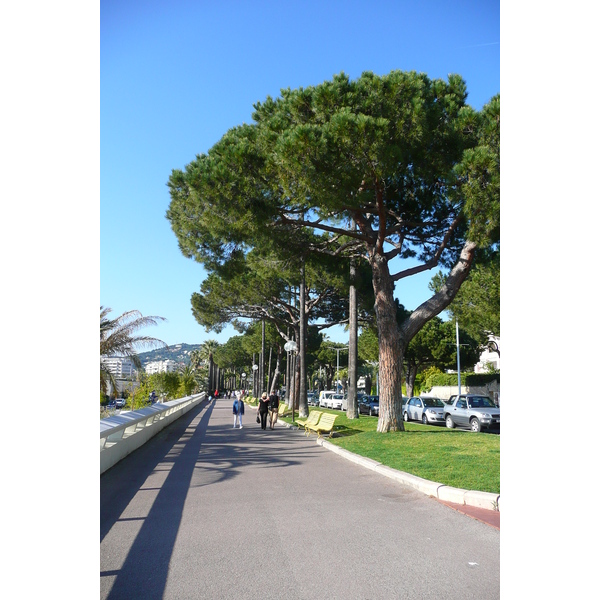照片 法国(France) 戛纳(Cannes) 皮埃尔·康托港(Port Pierre Canto) 2008-05 41
