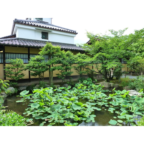 照片 日本(Japan) 京都(Kyoto) 涉成园(Shosei en Garden) 2010-06 11