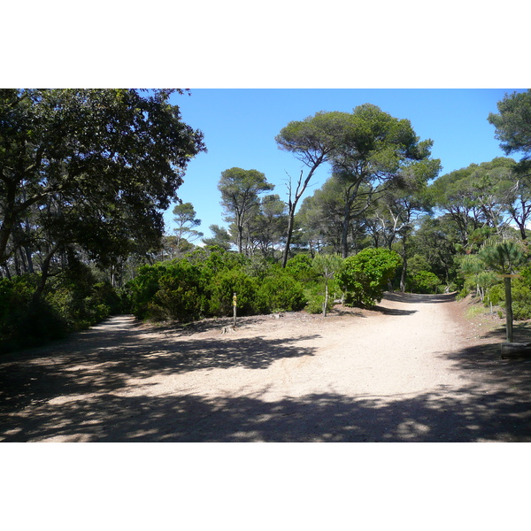 照片 法国(France) 波克罗勒岛(Porquerolles Island) 勒坎角(Pointe du Lequin) 2008-05 66