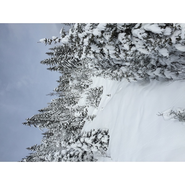 照片 法国(France) 梅杰夫(Megeve) 2016-02 29