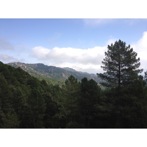 照片 法国(France) 科西嘉岛(Corsica) 奥斯佩达莱森林(L'ospedale Forest) 2012-09 3
