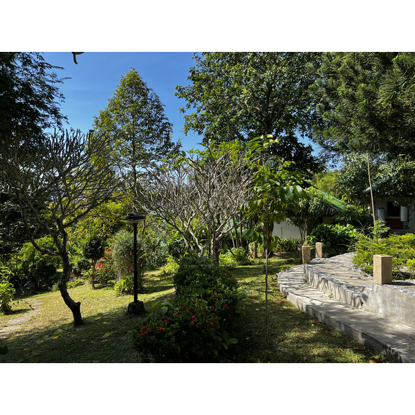 照片 泰国(Thailand) 普吉岛(Phuket) 卡塔海滩(Kata Beach) 卡塔花园度假村(Kata Garden Resort) 2021-12 9