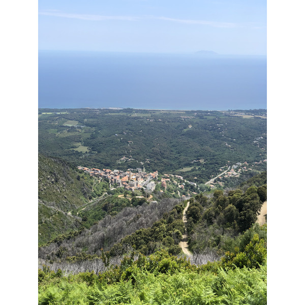 照片 法国(France) 科西嘉岛(Corsica) 2021-05 19