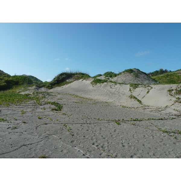 照片 斐济(Fiji) 辛加东卡沙丘国家公园(Sigatoka sand dunes national park) 2010-05 20