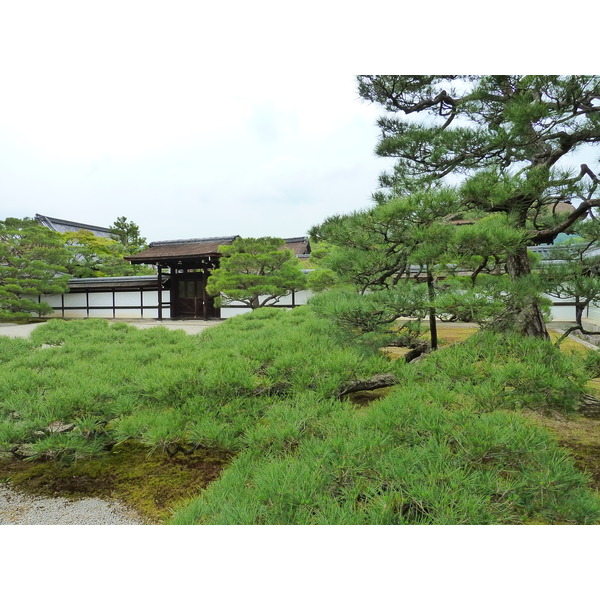 照片 日本(Japan) 京都(Kyoto) 仁和寺御殿(Ninna ji imperial Residence) 2010-06 75