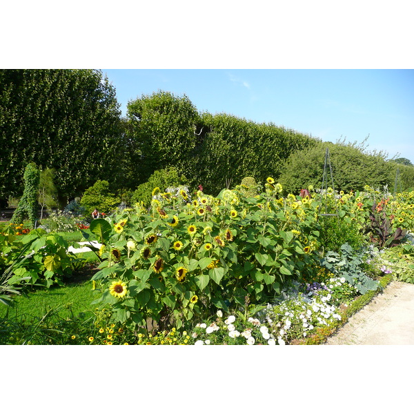照片 法国(France) 巴黎(Paris) 巴黎植物园(Jardin des Plantes) 2007-08 21