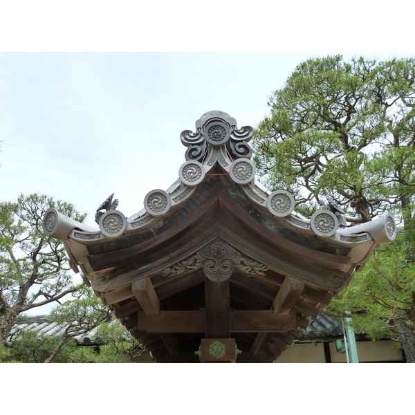 照片 日本(Japan) 京都(Kyoto) 二条城(Nijo Castle) 2010-06 67