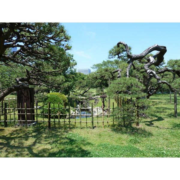 照片 日本(Japan) 东京(Tokyo) 滨离宫恩赐庭园(Hama rikyu Gardens) 2010-06 7