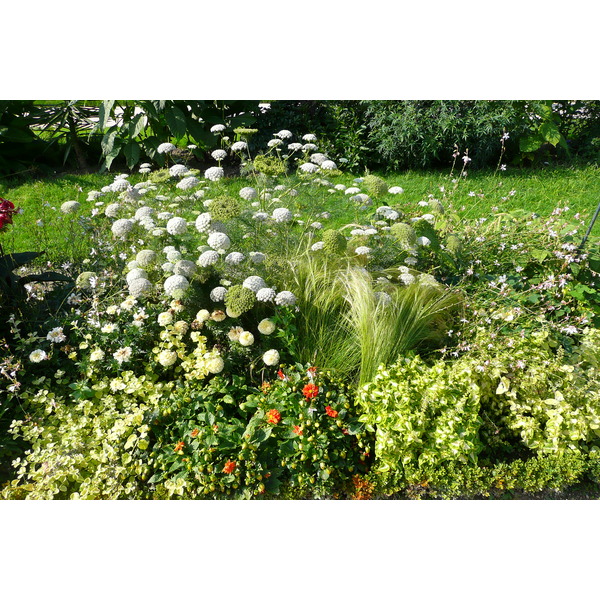 照片 法国(France) 巴黎(Paris) 巴黎植物园(Jardin des Plantes) 2007-08 38