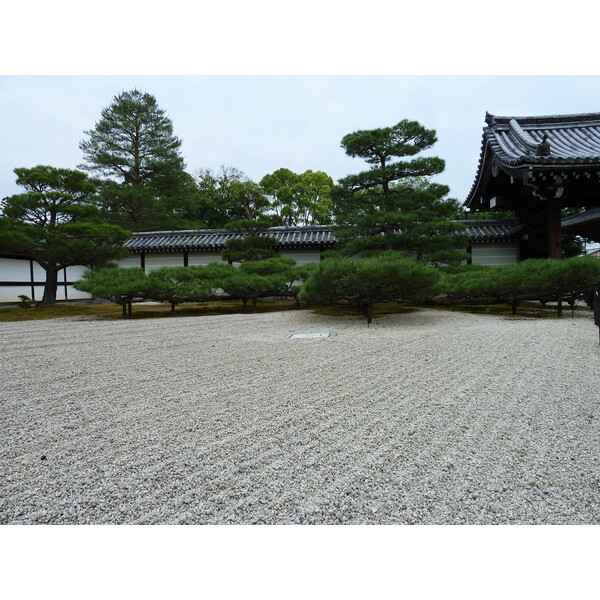 照片 日本(Japan) 京都(Kyoto) 仁和寺御殿(Ninna ji imperial Residence) 2010-06 17