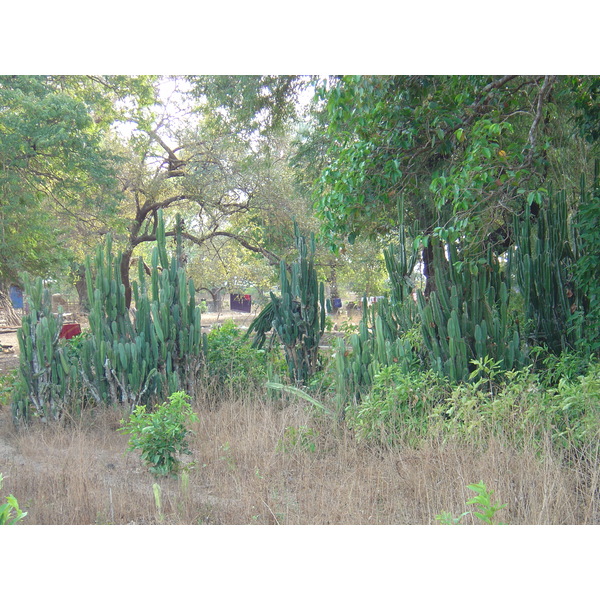 照片 缅甸(Myanmar) 茂马干海滩(Maungmagan beach) 2005-01 27