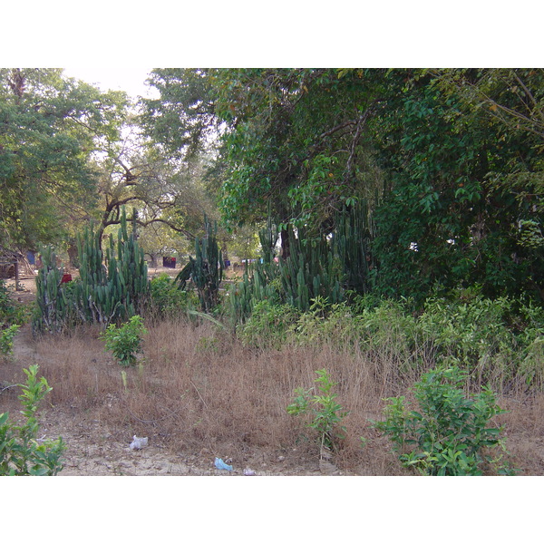 照片 缅甸(Myanmar) 茂马干海滩(Maungmagan beach) 2005-01 68