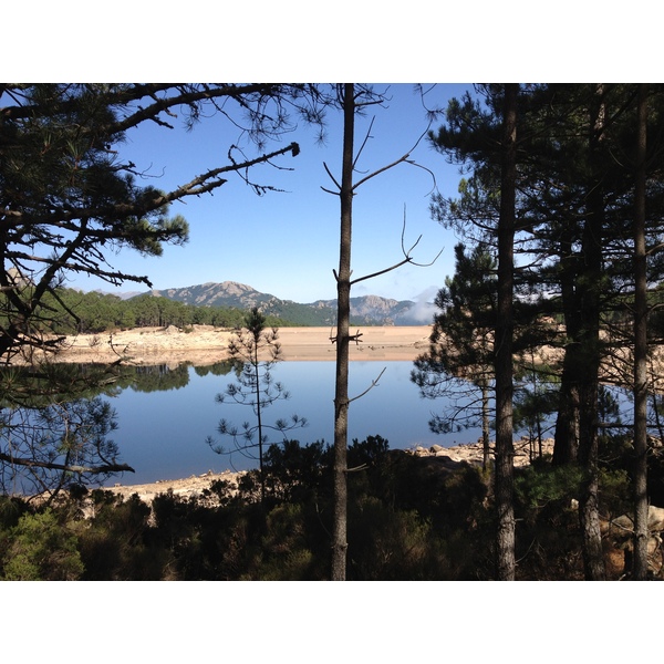 照片 法国(France) 科西嘉岛(Corsica) 奥斯佩达莱森林(L'ospedale Forest) 2012-09 40