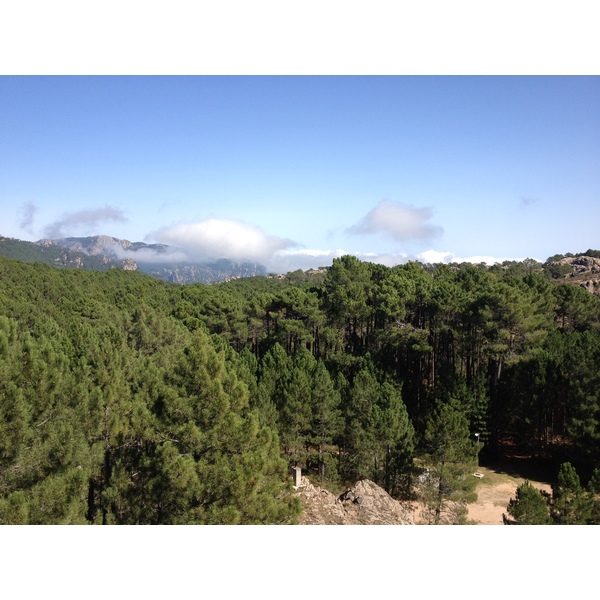 照片 法国(France) 科西嘉岛(Corsica) 奥斯佩达莱森林(L'ospedale Forest) 2012-09 7