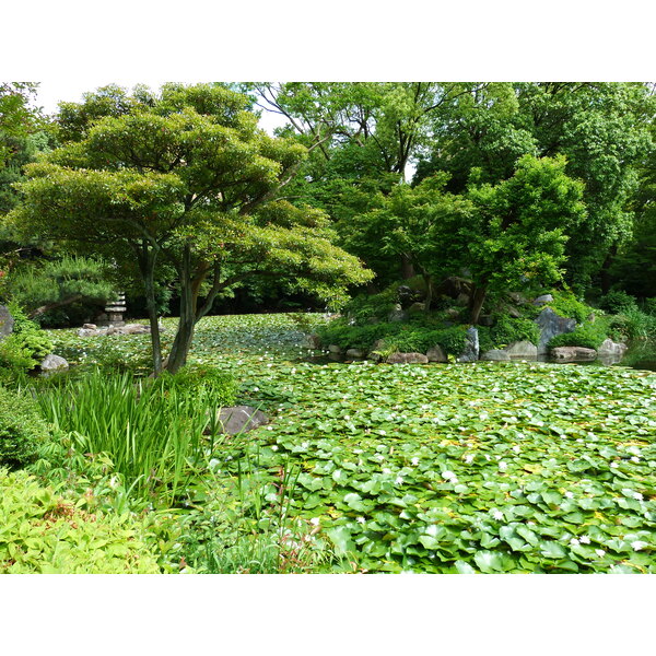 照片 日本(Japan) 京都(Kyoto) 涉成园(Shosei en Garden) 2010-06 59