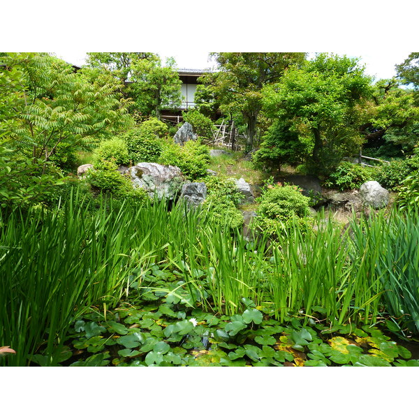 照片 日本(Japan) 京都(Kyoto) 涉成园(Shosei en Garden) 2010-06 81