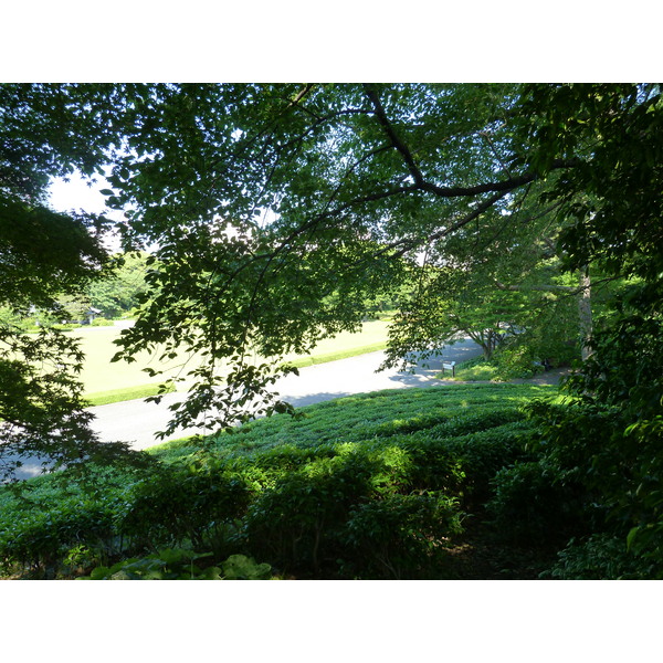 照片 日本(Japan) 东京(Tokyo) 皇居(Imperial Palace) 2010-06 93