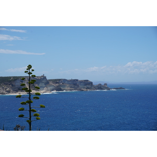 照片 法国(France) 科西嘉岛(Corsica) 博尼法乔(Bonifacio) 2017-07 45