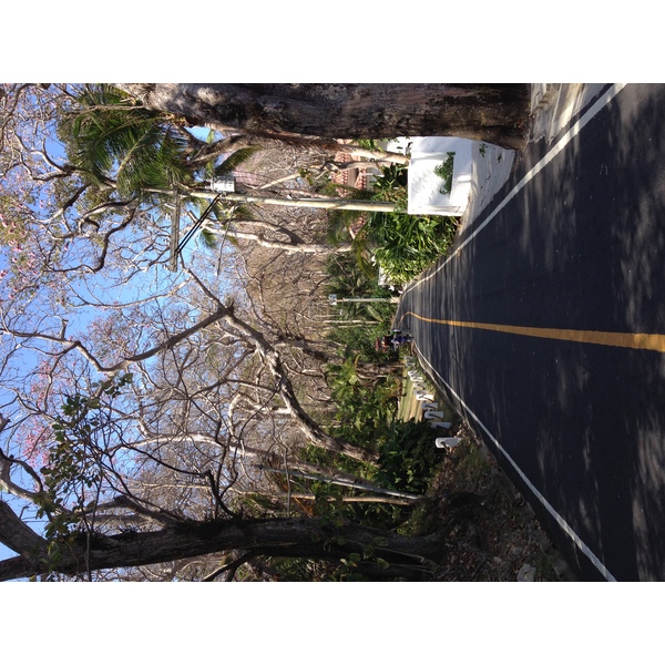 照片 巴拿马(Panama) 孔塔多拉岛(Contadora Island) 2015-03 133
