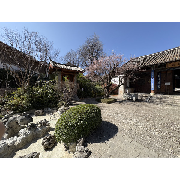 照片 中国(China) 丽江(Lijiang) 2026-01 165