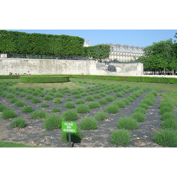 照片 法国(France) 巴黎(Paris) 杜乐丽花园(Garden of Tuileries) 2007-05 97