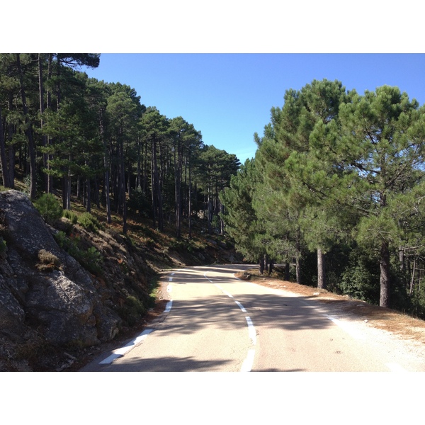 照片 法国(France) 科西嘉岛(Corsica) 奥斯佩达莱森林(L'ospedale Forest) 2012-09 10