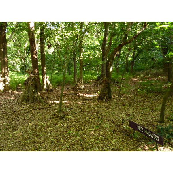 照片 斐济(Fiji) 辛加东卡沙丘国家公园(Sigatoka sand dunes national park) 2010-05 43