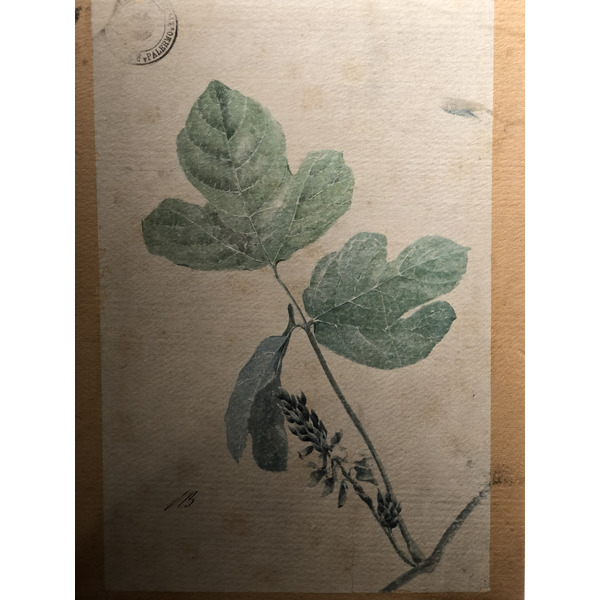 照片 意大利(Italy) 西西里岛(Sicily) 巴勒莫(Palermo) 诺曼王宫(Palazzo dei Normanni) 2020-02 191