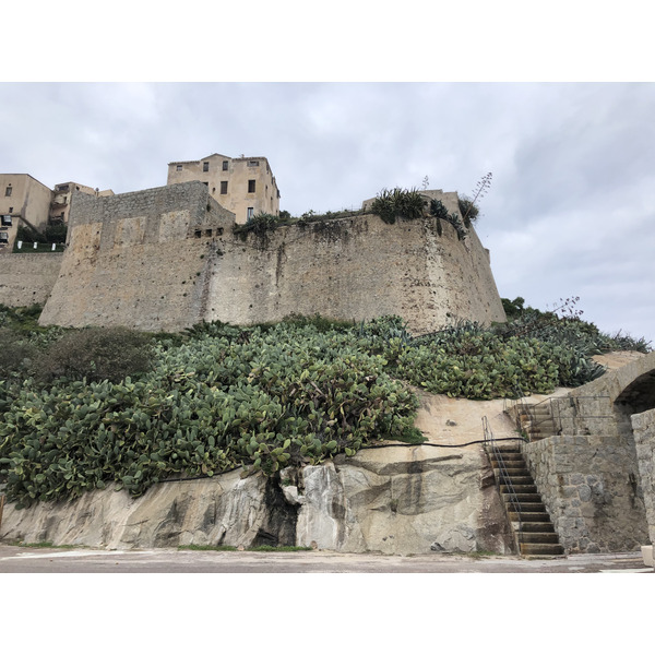 照片 法国(France) 科西嘉岛(Corsica) 卡尔维(Calvi) 2020-10 3