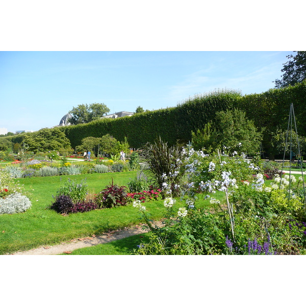 照片 法国(France) 巴黎(Paris) 巴黎植物园(Jardin des Plantes) 2007-08 211