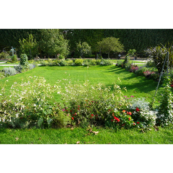 照片 法国(France) 巴黎(Paris) 巴黎植物园(Jardin des Plantes) 2007-08 173