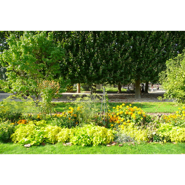 照片 法国(France) 巴黎(Paris) 巴黎植物园(Jardin des Plantes) 2007-08 172