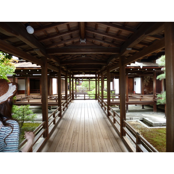 照片 日本(Japan) 京都(Kyoto) 仁和寺御殿(Ninna ji imperial Residence) 2010-06 23