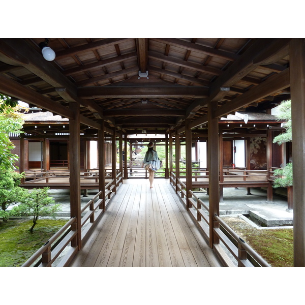 照片 日本(Japan) 京都(Kyoto) 仁和寺御殿(Ninna ji imperial Residence) 2010-06 16