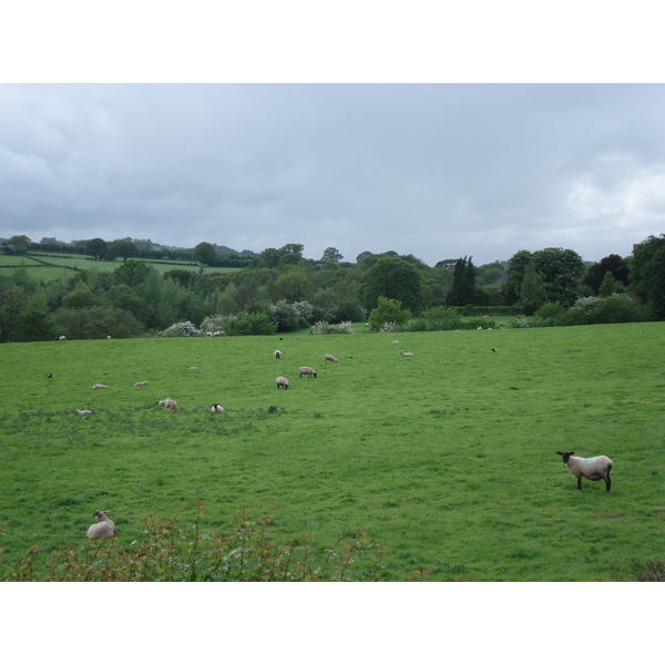 照片 英国(United Kingdom) 布雷肯比肯斯国家公园(Brecon Beacons National Park) 2006-05 113