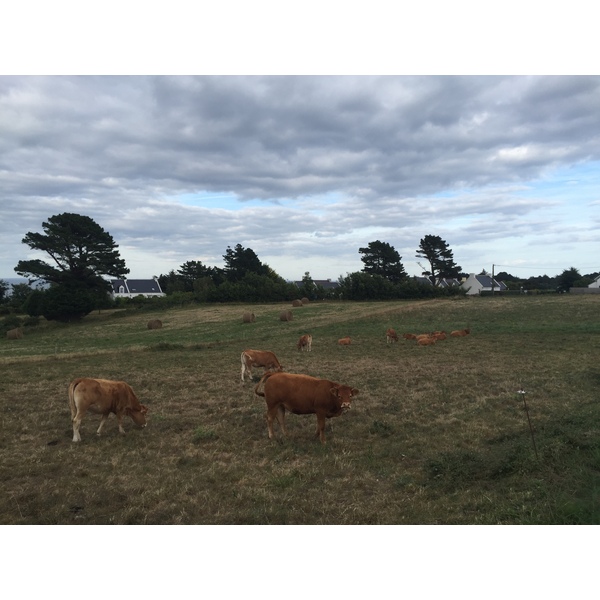 照片 法国(France) 美丽岛(Belle-Ile) 2016-08 152