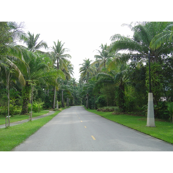 照片 泰国(Thailand) 考拉(Khao Lak) 考拉艾美酒店(Meridien Khao Lak Hotel) 2005-12 235
