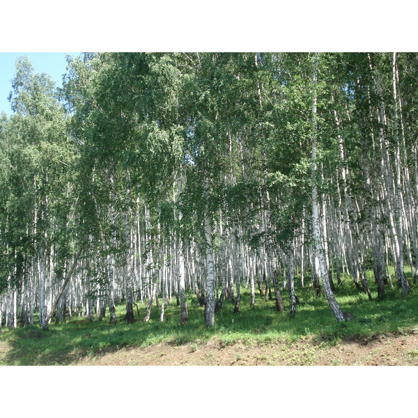 照片 俄罗斯(Russia) 乌拉尔(Ural) 2006-07 31